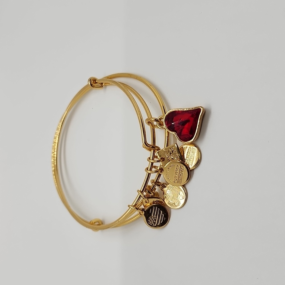 Alexa & Ani Gold Spacer & Heart Of Strentgh Bracelet